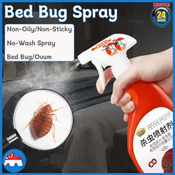 Bed Bug killer spray